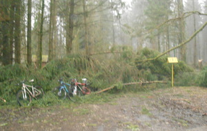 Sortie du dimanche 07 janvier. La tempête a fait quelques dégâts, entre Romagny et Manspach ça passe plus :-(