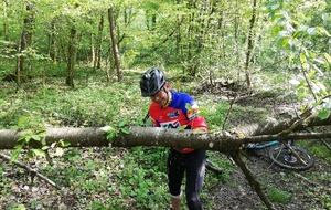 Sortie du dimanche 1er mai 2019.
Préparation du terrain...