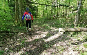 Sortie du dimanche 1er mai 2019.
Préparation du terrain... Après ça passe....