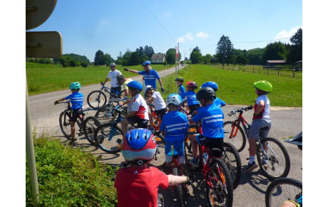 La dernière des moustiques avant les vacances