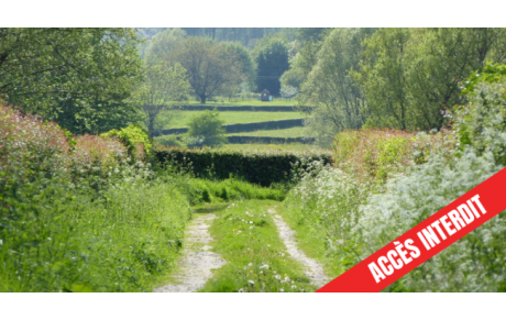 Nos activités nature sont en danger